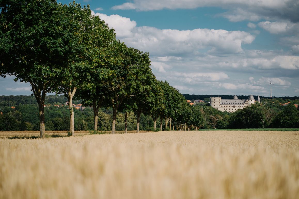 Die Wewelsburg im Sommer von André Heinermann